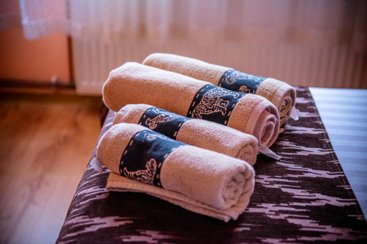 Hotel Popasul Drumetului Transfagarasan Curtea de Argeş Esterno foto
