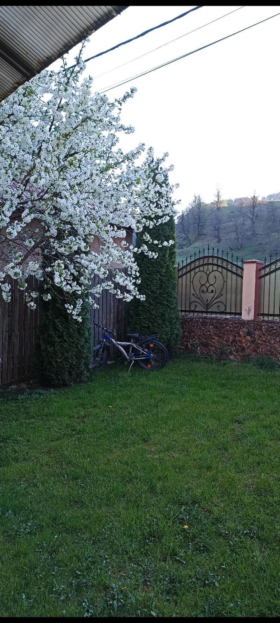 Hotel Popasul Drumetului Transfagarasan Curtea de Argeş Esterno foto